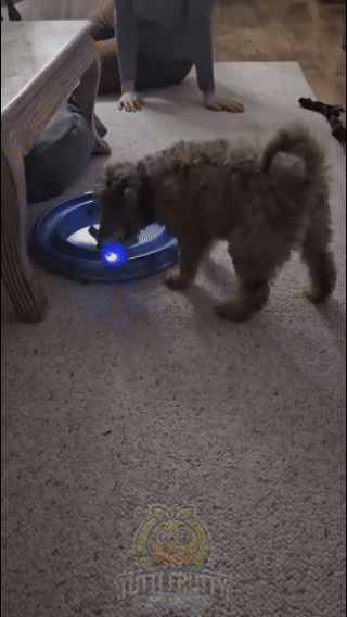 Pelota interactiva